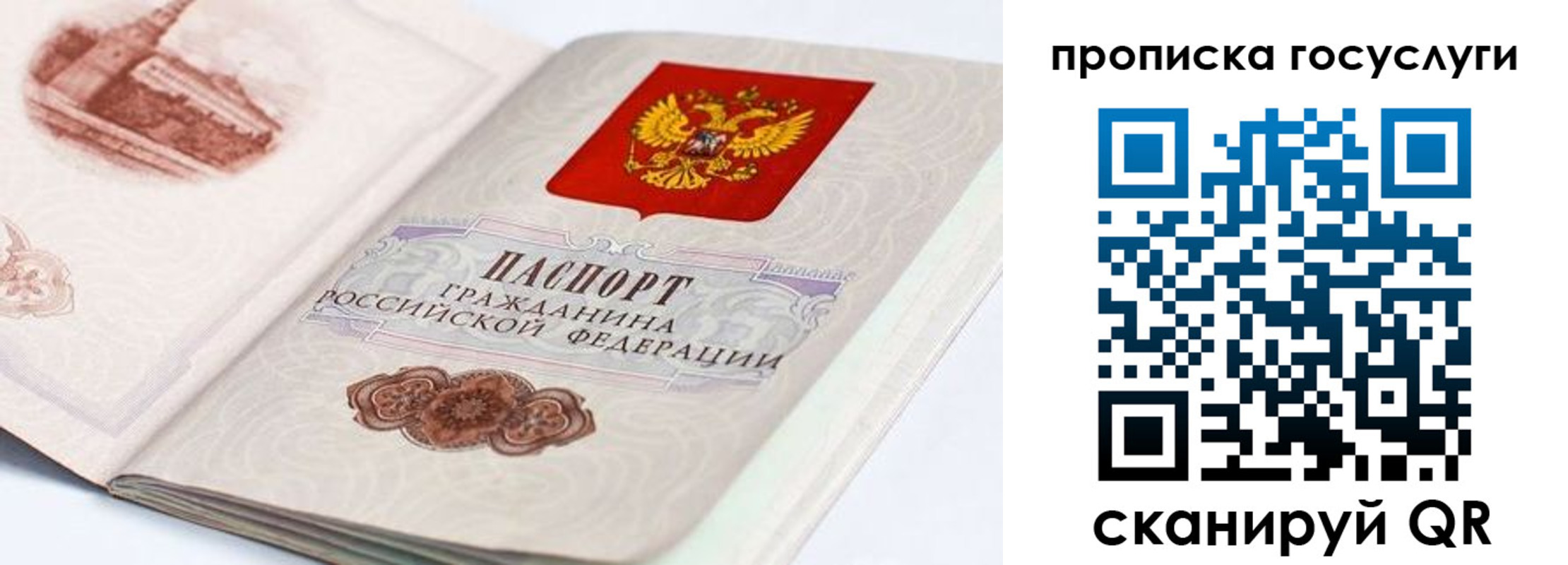 прописка регистрация в Рубцовске